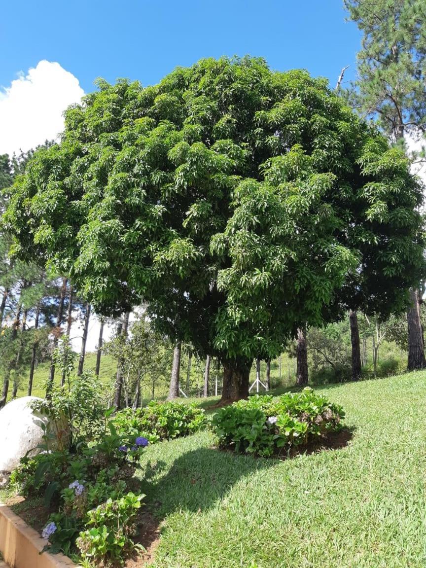 Recanto Das Borboletas São Roque Extérieur photo